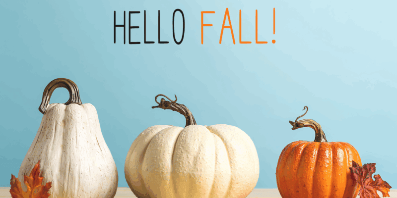 Three decorative pumpkins with fall leaves and text ‘Hello Fall’ on a blue background